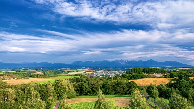 富良野市の景色